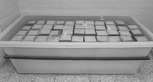 images (2)